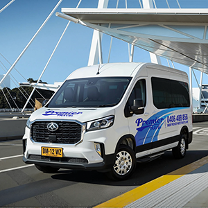 premier minivan 01sqsm